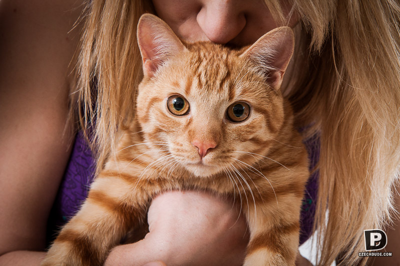 fotografie z alba Portraits